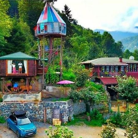 Olimbera Koy Evi Bed and Breakfast Artvin Exterior foto