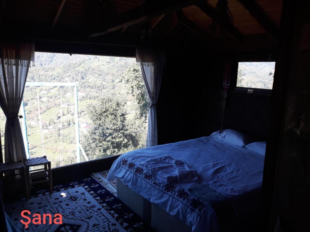 Olimbera Koy Evi Bed and Breakfast Artvin Exterior foto