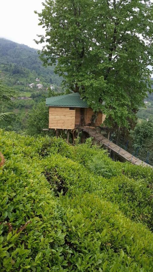 Olimbera Koy Evi Bed and Breakfast Artvin Exterior foto